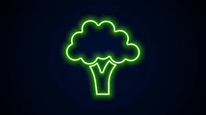 broccolito